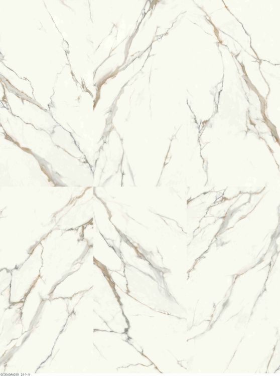 Time Dorado Matte 24 x 48